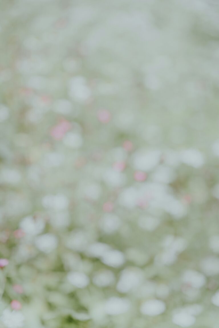 website-hebamme-luisa-136