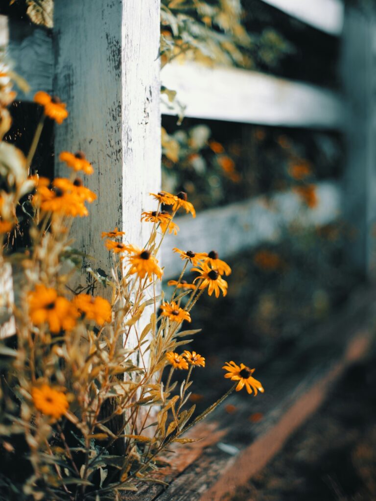 website-hebamme-luisa-143