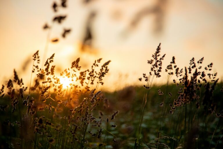 website-hebamme-luisa-6